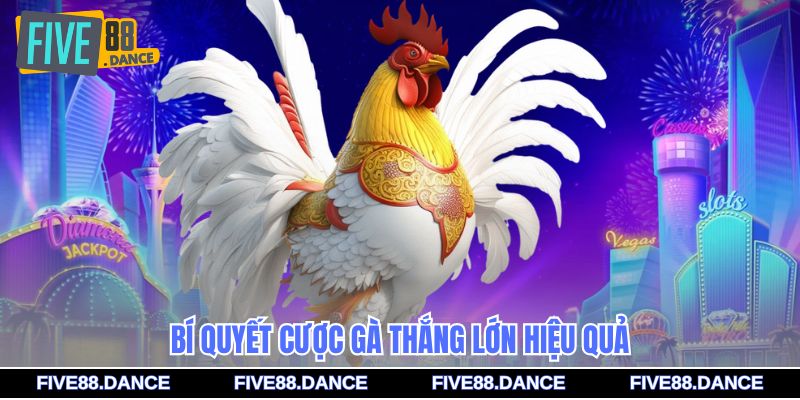 Đá Gà SV388 - Sân Chơi Cược Gà Trực Tiếp Uy Tín 3 Bí quyết cược gà thắng lớn hiệu quả