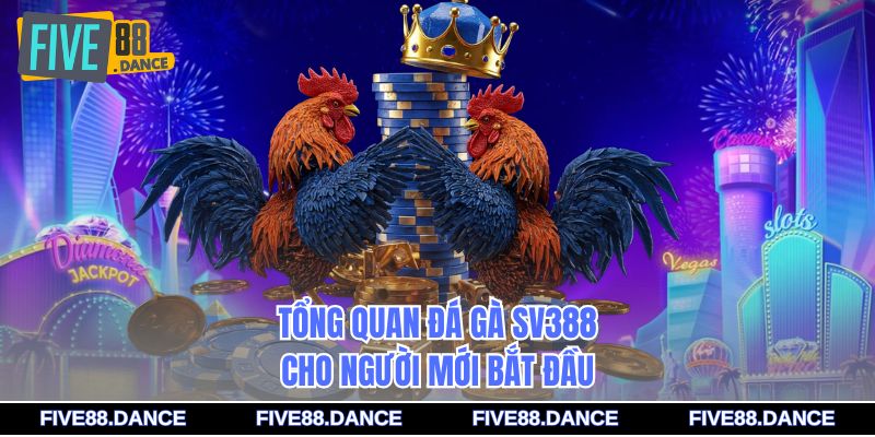 Đá Gà SV388 - Sân Chơi Cược Gà Trực Tiếp Uy Tín 1 Tổng quan đá gà SV388 cho người mới bắt đầu